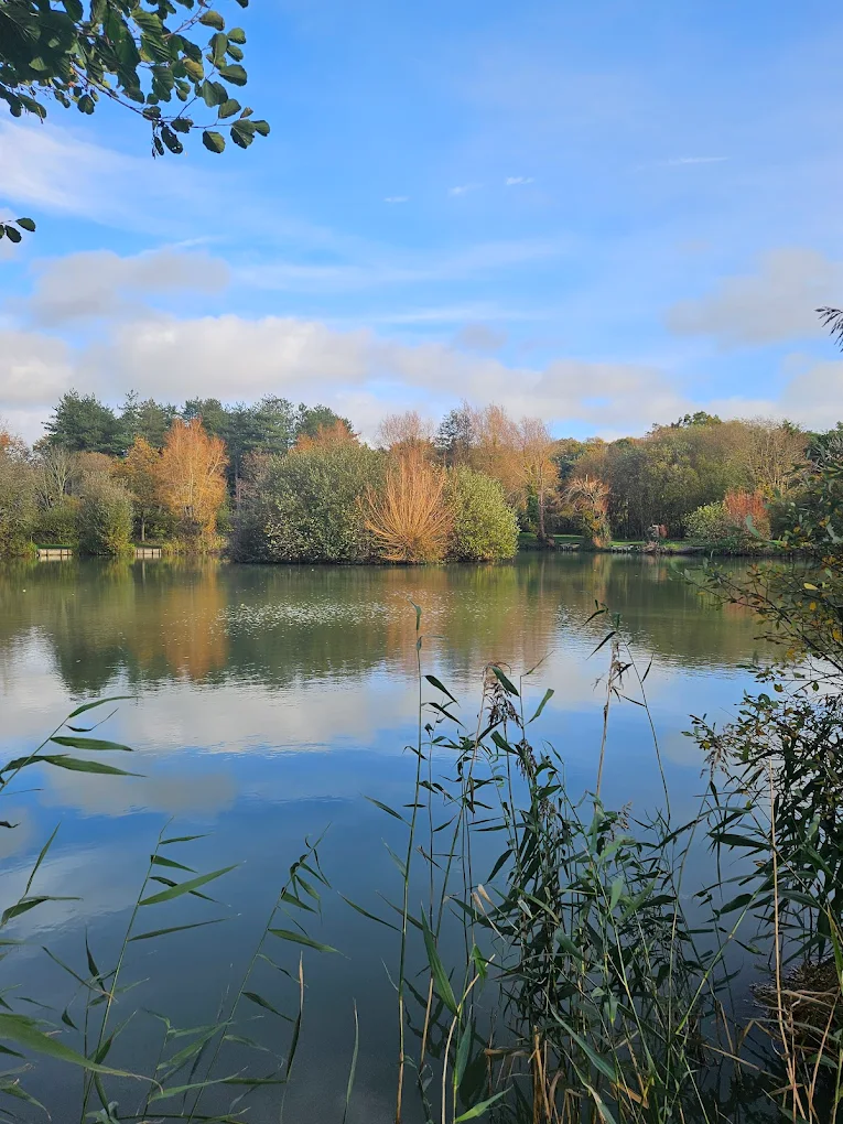 Alderwood Ponds - GuardX customer